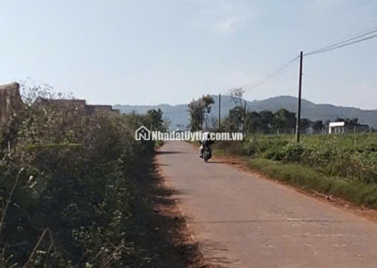 Chính chủ bán 13.000m² đất Tu Tra – Đơn Dương, vị trí đẹp, 2 mặt đường bê tông